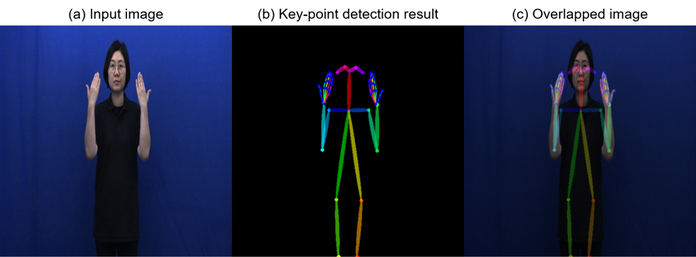 Key-point Detection Visualization
