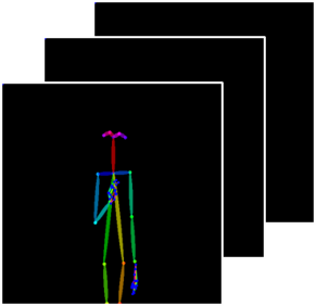 Skeleton Sequence Analysis